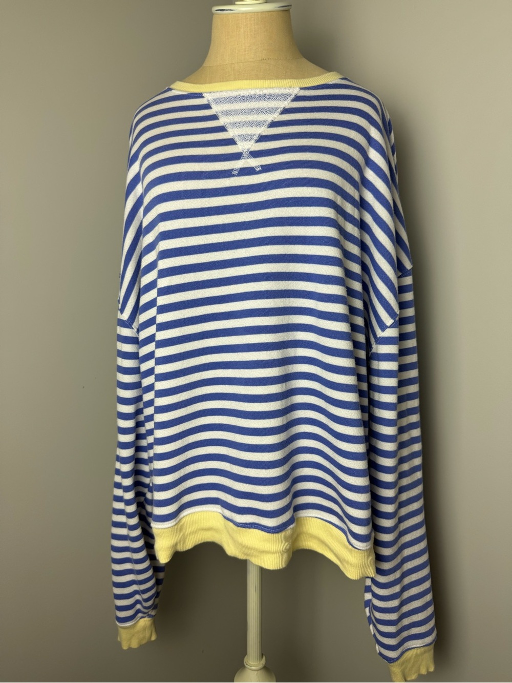 We The Free Striped Crewneck Sweater